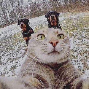 Meet your Posher, Perfect